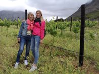 Verrückt nach Meer – Ausflug der Passagierinnen Gabi und Julia mit der "Wine Tram" ins südafrikanische Weinanbaugebiet. Spaziergang durch das Weingut und die Weinberge von "Haute Cabriere" bei Franschhoek, Südafrika.