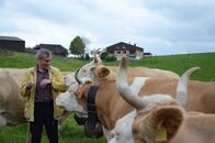 Kaminer inside – Wir riecht Heimat? Simmentaler Kühe beschnuppern Wladimir Kaminer.