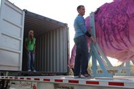 Shipping Wars - Die Transporter – Fr, 12.07., 15:55 Uhr
