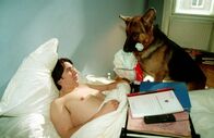 Kommissar Rex – Kommissar Richie Moser (Tobias Moretti) muss nach einem Beinbruch am Tatort das Bett hüten.