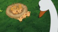 Törtel – Bist du unser Papa? Schwan Hokuspokus (r.) sitzt in der Patsche. Muss er sich jetzt um die vielen, frisch geschlüpften Entenküken (l.) kümmern?