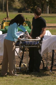 CSI: Miami – CSI: Miami (2004)