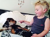 Tierische Freundschaften – Beau and the puppy Theo