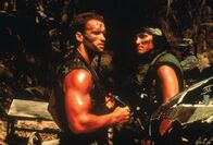 Predator – Im Auftrag der Regierung leitet Major Dutch (Arnold Schwarzenegger, l.) eine Truppe von Elite-Soldaten für Sondereinsätze, die im Dschungel Gefangene befreien soll. Bei dem Einsatz fallen alle Männer bis auf den Chef einem unheimlichen Wesen zum Opfer ...