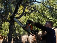 Die Teichbauer – Chris Hanson using a chainsaw on some branches at the Klingensmith's build.