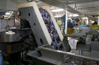 Re: – Die industrielle Verarbeitung des Fisches: Leider gehen die Fischbestände in den Gewässern nördlich von Irland immer weiter zurück.