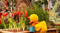 Unser Sandmännchen – Schnatterinchen pflegt ihre Blumen.