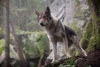 Alpha – Fr, 10.10., 02:33 Uhr