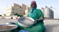 Weizen als Waffe – Entlang der Straße, die in Nouakchott (Mauretanien) vom Hafen in die Stadt führt, sitzen Frauen und sieben Weizenkörner aus dem Sand am Boden.