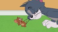 Die Tom und Jerry Show – Die Tom und Jerry Show (2019)