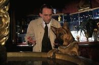 Kommissar Rex – Stockinger (Karl Markovics, l.) hat mittlerweile seine Hunde-Phobie soweit im Griff, dass er mit Rex (Reginald von Ravenhort, r.) auf Spurensuche gehen kann. Suchen macht durstig, aber Stockinger ist sich nicht sicher, ob der Brunnen im Hotel eine gute Idee ist ...