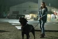 The Silence – Ally Andrews (Kiernan Shipka)