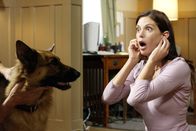 Desperate Housewives – Das Abendessen bei Mike entwickelt sich zu einem Wettstreit zwischen Edie und Susan (Teri Hatcher), um die Gunst von Mike, wobei dessen Hund Bongo eine entscheidende Rolle spielt ...