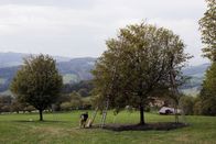 Zu Tisch ... – Jede Elsbeere muss nach der Ernte noch von den Rispen gezupft werden – eine Arbeit, die bis tief in den Winter hinein dauert.