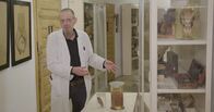Servus Reportage – Eduard Winter, Kurator im Pathologisches Museum Wien