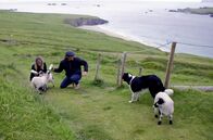 Irischer Kompass – Claire de Haas und Brock Montgomery, Aussteiger und alleinige Bewohner(Herbergseltern) auf der Insel Great Blasket