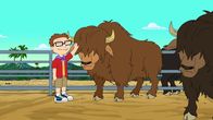 American Dad! – Steve