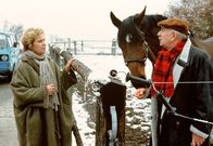 Alle Kinder brauchen Liebe – Empört stellt Anna Stolberg (Witta Pohl) ihren Vermieter Friedrich Witt (Günter Kütemeyer) wegen der Kündigung zur Rede.