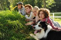 Fünf Freunde 2 – Ein neues Abenteuer wartet auf Julian (Quirin Oettl, l.), Anne (Neele Marie Nickel, 2.v.l.), George (Valeria Eisenbart, 2.v.r.), Dick (Justus Schlingensiepen, r.), und Hund Timmy ...