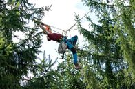 Der Ranger - Paradies Heimat – Die erfahrene Klettererin Laura Bothe (Giulia Goldammer) ist bei der Zapfenernte in schwindelerregenden Höhen unterwegs.