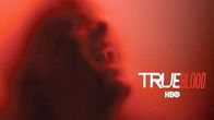 True Blood – Do, 10.10., 10:35 Uhr