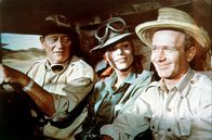 Hatari – Sean Mercer (John Wayne) und Pockets (Red Buttons, r.) sind hartgesottene Großwildjäger einer Fangstation in Tansania. Eines Tages stößt die junge Fotografin Anna Maria "Dallas" D'Allessandro (Elsa Martinelli, M.) zu ihrem Team ...