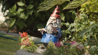 Beast Mode – Angry gnome