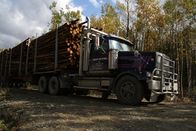 Holzfäller extrem – Mi, 03.07., 11:15 Uhr