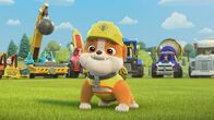 Rubble und Crew – Rubble