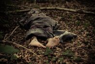 Inside the Criminal Mind – Hinzu kommt, dass Serientäter in den meisten Fällen ihre Opfer nicht kennen und mit ihnen nicht in Verbindung gebracht werden können.