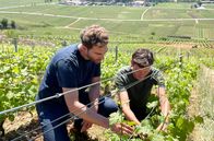 Roots – Pierre Girard (li.) kann sich selbst davon überzeugen, dass die Rebsorten auf Mathieus Weinberg (re.) auch ohne Dünger und Pestizide prächtig gedeihen.