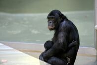 Zoo-Babies – Mi, 12.11., 11:55 Uhr
