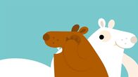 Animanimals – Braunbär und Eisbär spielen Verstecken.