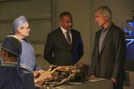 Navy CIS – Der Tote aus dem Wald stellt sich für Gibbs (Mark Harmon, r.) und Vance (Rocky Carroll, M.) als ein vermisster Verdächtiger in einem Fall von Betrug und Bestechung heraus. Was ergibt Duckys (David McCallum, l.) Autopsie?