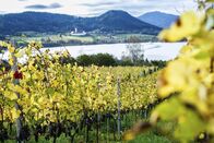 Servus Reportage – Weingut Georgium