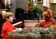 ALF – ALF (1986)