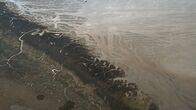 Strände Europas – Der Nationalpark Wattenmeer aus der Luft.