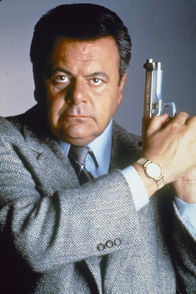 Law & Order – Law & Order (1991)