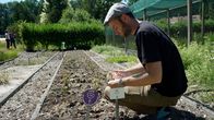 rbb Gartenzeit – Daniel Lauterbach bei der Samenernte im Botanischen Garten Potsdam.