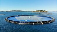 Welt der Zukunft – Ein norwegisches Unternehmen stellt schwimmende Plattformen für Solarmodule her.