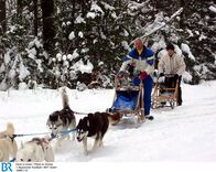 Karen in Action – Karen besucht Hans Reich in Peißenberg. Er züchtet Huskys und fährt bei Schlittenhunderennen mit. Auch Karen darf eine Tour auf dem Schlitten machen.