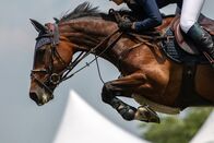 Springreiten: Global Champions Tour – Do, 01.10., 15:00 Uhr
