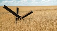 Weizen als Waffe – Weizen als Waffe. Panzersperre im Weizenfeld. Weizen wird in diesem Krieg zum politischen Druckmittel.