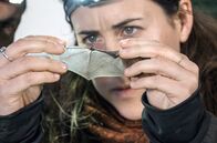 Wundersame Wanderungen – Die Rauhautfledermaus gehört zu den Fernwanderern unter den heimischen Fledermausarten.