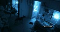 Paranormal Activity 2 – Auch die mutige Schäferhündin Abby kann den kleinen Hunter (Tim Clemens) nicht vor seiner Bestimmung retten ...