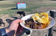 Stadt Land Kunst – Zum Abendessen gibt es in Rumänien bei Gigi einen traditionellen Eintopf mit Lammfleisch in Rotwein, Gemüse und Polenta-Bällchen mit Käsefüllung.