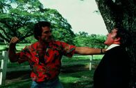 Magnum – Magnum (1984)