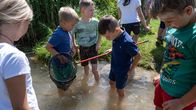 Heimatleuchten – Fritz Wolf erklärt den Kindern die biologischen Zusammenhänge am Almsee