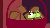 Animanimals – Doch der Bär ist nicht allein. Eine Grille ist zu Gast.