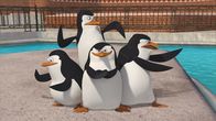 Die Pinguine aus Madagascar – Die Pinguine aus Madagascar (2011)